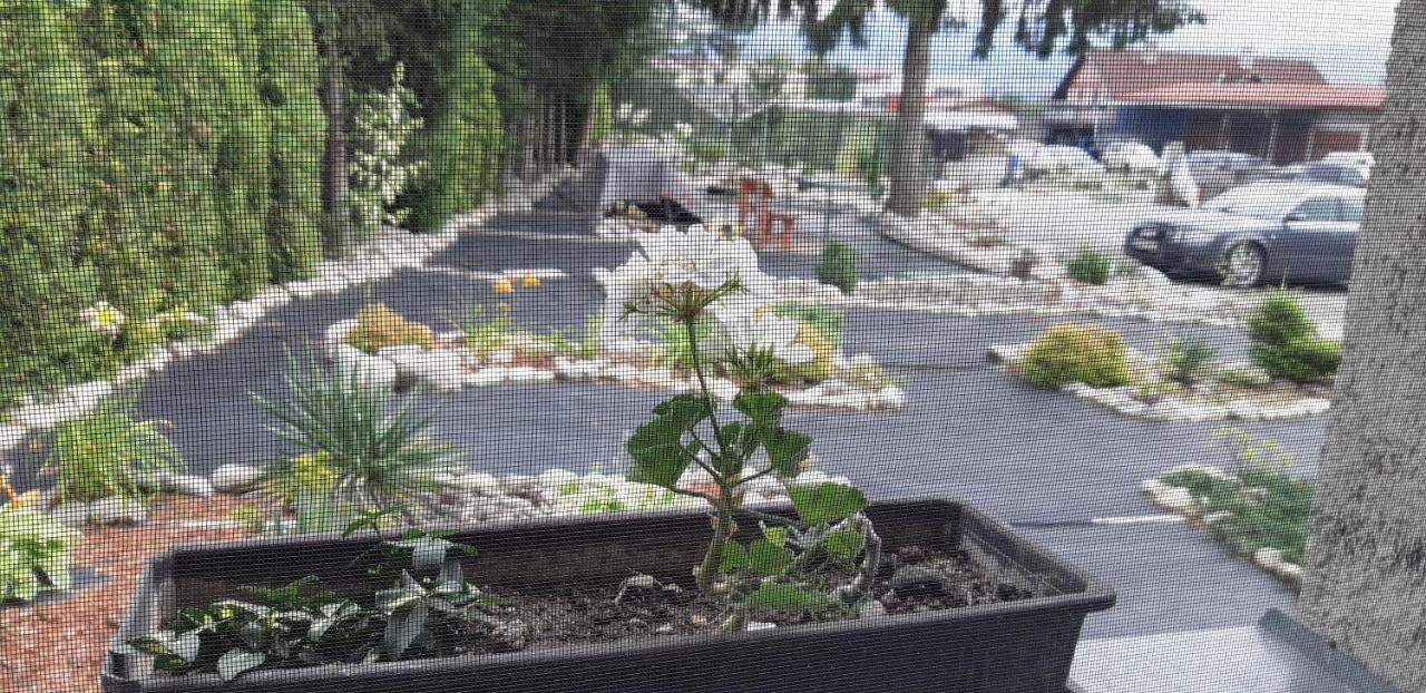 Apartman Yvet Sucany Buitenkant foto