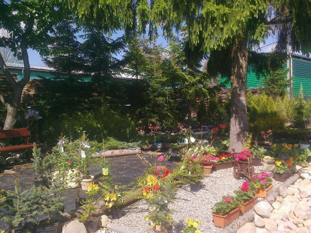 Apartman Yvet Sucany Buitenkant foto